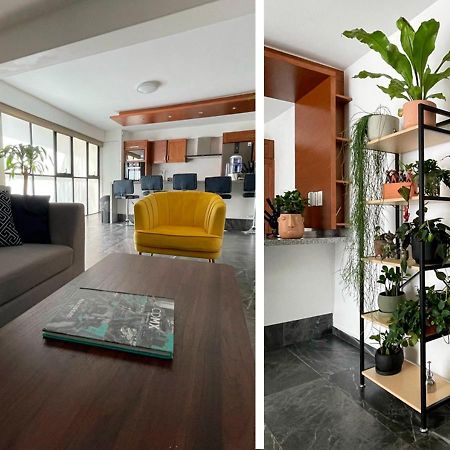 מקסיקו סיטי Great Apartment In The Heart Of Coyoacan מראה חיצוני תמונה