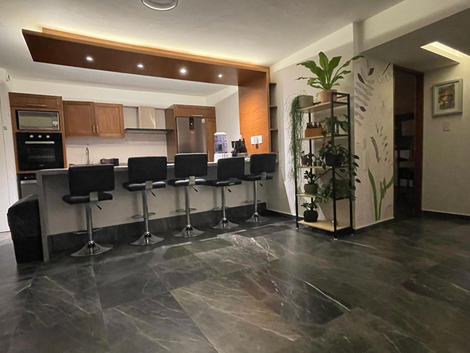 מקסיקו סיטי Great Apartment In The Heart Of Coyoacan מראה חיצוני תמונה