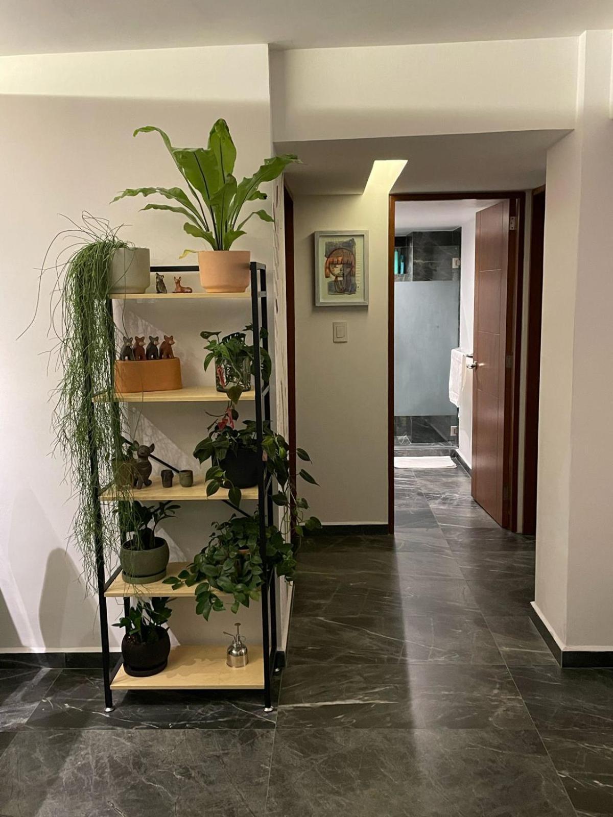 מקסיקו סיטי Great Apartment In The Heart Of Coyoacan מראה חיצוני תמונה