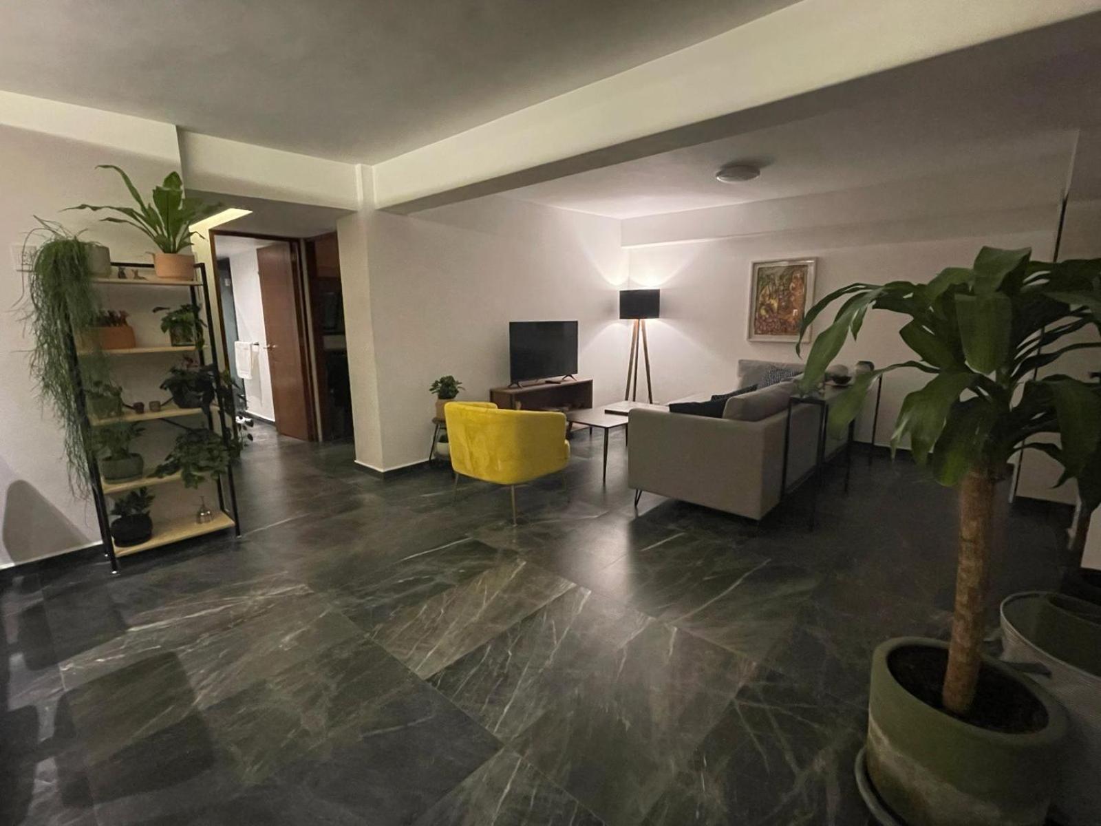 מקסיקו סיטי Great Apartment In The Heart Of Coyoacan מראה חיצוני תמונה