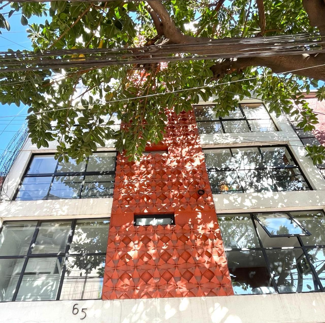 מקסיקו סיטי Great Apartment In The Heart Of Coyoacan מראה חיצוני תמונה